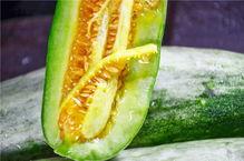 众网红吃瓜,揭秘娱乐圈幕后真相