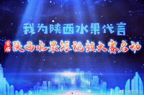 每日大赛的视频,激情碰撞，精彩纷呈